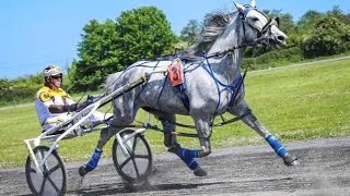 Harness race Horse training horserace arabhorseassociationpakistan horserace [upl. by Laven197]