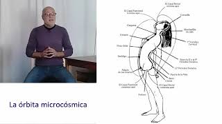 LA ÓRBITA MICROCÓSMICA CÓMO HACER CIRCULAR TU ENERGÍA POR ELLA  Alquimia Sexual [upl. by Korney]