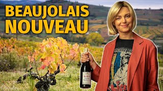 The Guide to BEAUJOLAIS NOUVEAU Wine [upl. by Hoi]