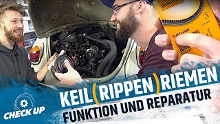 KEILRIPPENRIEMEN  KEILRIEMEN  STRUMPFHOSE  Funktion und Alternativen  CHECK UP  MOVE IT [upl. by Nilde]