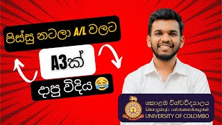 මම AL වලට A3ක් දාපු හැටි 😂❤️ University Of Colombo Student Story [upl. by Ynnattirb]