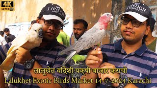 Lalukhet Exotic Birds and Parrots Market 1472024 Karachi  Unique and Rare Hen and Rooster Birds [upl. by Tavey]