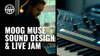 Moog Muse  Overview amp Sound Design  Thomann [upl. by Ttevi]