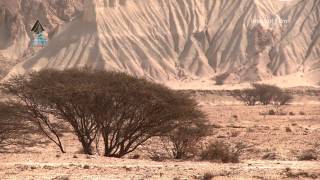 Qeshm GeoPark [upl. by Saimerej722]