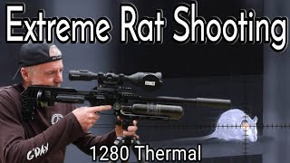 EXTREME RAT SHOOTING with 1280 thermal and an air rifle [upl. by Cheadle26]