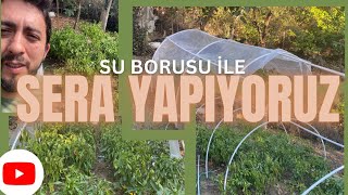 TEK BAŞIMA SERA YAPTIM 💪 Kışlık Sebzeler Ekildi 🥬 🍠🌶️ıspanak tere bahçe vlog [upl. by Cheri]