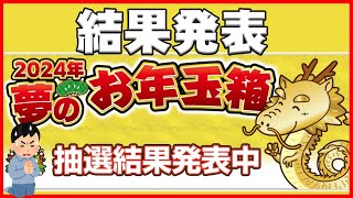 【2024年福袋】今年の運の集大成！【ヨドバシドットコム】 [upl. by Annadroj]