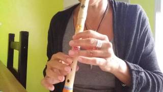 tin whistle for beginners the butterfly irisches Lied [upl. by Isnyl]