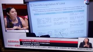 Sustentación de los Decretos Legislativos 1344 y 1345 [upl. by Garett]