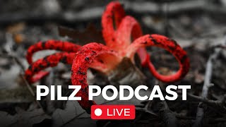 Pilz Podcast Live 67 mit derpilzfluesterer [upl. by Acacia]