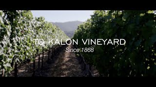 ROBERT MONDAVI WINERY  TO KALON VINEYARD [upl. by Fredia]