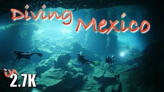 Diving Mexico Cenotes Halocline amp Whale Sharks included [upl. by Erodavlas]