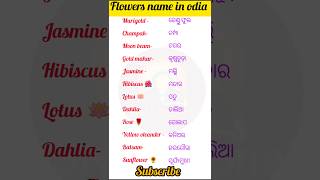 Flowers name in odiaenglish translation spokenenglish vocabulary odia words shorts flowers [upl. by Yanehs471]