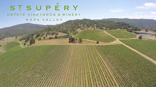 St Supery Vineyards amp Winery Napa Valley USA Vineyards and drone [upl. by Idelia]