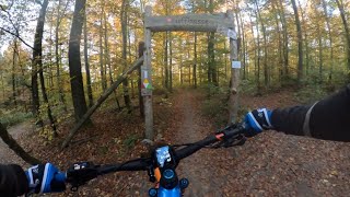 Flowtrailpark Mosbach Trail quotuffbassequot [upl. by Nirrak475]