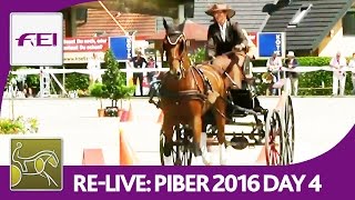 ReLive  FEI World Championships For Single Driving  Obstacle Driving  Piber 2016 [upl. by Ellen286]