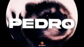 PEDRO  Jaxomy Agatino Romero Raffaella Carrà TikTok Song [upl. by Hedges177]