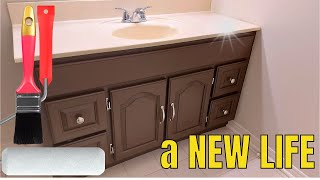 Get A New Look For Your Bathroom By Painting Your Oak Cabinets [upl. by Ladnik242]