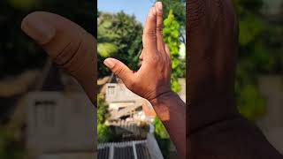 Hand Dance 😜 like Mera naseeb  shortvideos Bharat mtakriofficial5147 status viralvideo [upl. by Ahtaela]