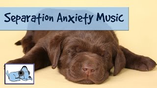 30 Minutes of Relaxing Dog Music Calming Sounds to Relax Anxious Dogs  Separation Anxiety Cured [upl. by Vasta788]