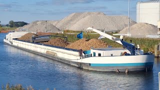 Binnenvaartschip de MARELIE met tijdelijke stuurhut voert suikerbieten aan in Hoogkerk ⚓️⚓️ [upl. by Notlil]