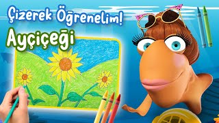 ÇİZEREK ÖĞRENELİM  AYÇİÇEĞİ [upl. by Rebmeced]