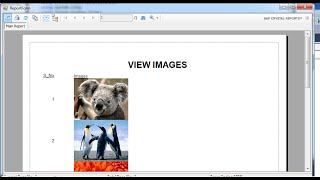 C Copy image to Database After View Picturebox and crystalreports Part II [upl. by Einatsed373]