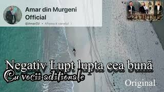 NegativLupt lupta cea buna AmarSainea [upl. by Schnurr]