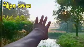 গ্রামে কুয়াশাযুক্ত শীতের সকাল 😍🥰voiceover yt [upl. by Yesnel]