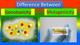 Difference Between Genotoxicity and Mutagenicity [upl. by Babbie]