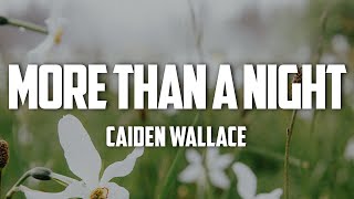 Caiden Wallace  More Than A Night Lyrics [upl. by Kristianson]