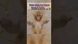 when my friend alone in home 😂🤣 pleasesubscribe love fellow 😂🤣😂🤣 [upl. by Jeu]