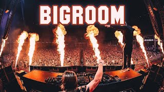 Bigroom Hits 2020 [upl. by Bowie877]