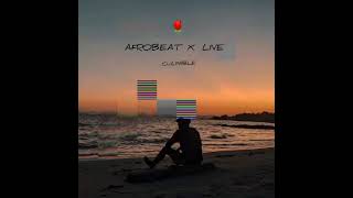 Theoby  CULPABLE  VISUALIZER  AFROBEATXLIVE 🍍🌴🍹💔🔥 [upl. by Tada803]