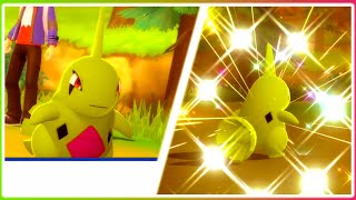 LIVE 4 Shiny Larvitar in Pokemon Brilliant Diamond  Pokeradar [upl. by Sidnal]