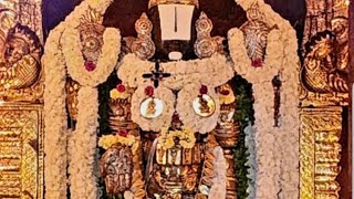 sri srinivasa sr venkatesaya 🤲🙏 [upl. by Giacinta672]