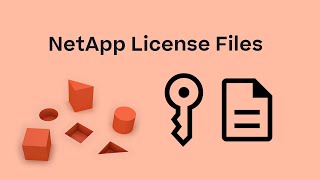 License Files in ONTAP 910 [upl. by Ahtan]