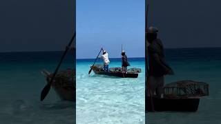 Fishing life in Zanzibar africatravels africanhustle youtubeshorts beautiful beach moreviews [upl. by Achilles]