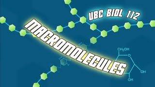 Introduction to Macromolecules updated  Biol 112 at UBC [upl. by Nirraj]