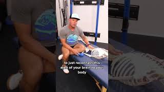 How to Train the Lumbar Multifidus [upl. by Redep]