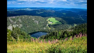 Feldberg  Germany  Top of the Black Forest  Schwarzwald  Feldsee  Virtual Tour [upl. by Ayo882]