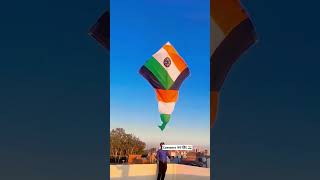 Kite flying festival rooftop Bigkite kite viralvideo patang shorts kitefestival trending [upl. by Lleznov357]