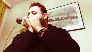 The lonely Shepherd  Chromatic harmonica [upl. by Nallak]