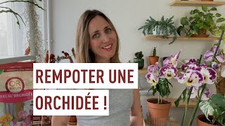 Rempoter une orchidée facilement [upl. by Nic]