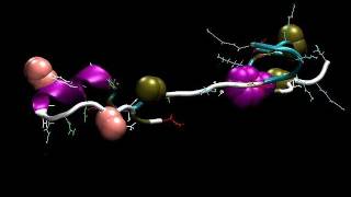 Simulating How Proteins SelfAssemble Or Fold [upl. by Elehcin521]