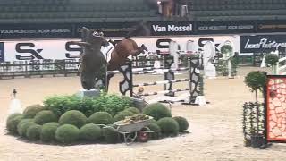 EQS Gwinnru  8y Andiamo Semilly  double clear 8y finals Lier [upl. by Kaine]