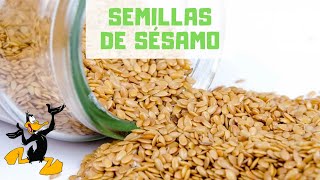 10 Propiedades del Sésamo o Ajonjolí 🤔 ¡BENEFICIOS [upl. by Sublett913]