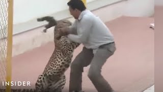 Leopard Attacked A School In India [upl. by Bandeen]