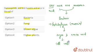 Diaminopimelic acid and muramic acid occur in the wall of [upl. by Fowkes]