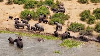 Queen Elizabeth National Park With Kyambura Gorge Lodge [upl. by Jdavie]